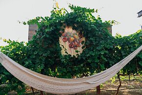 Ecléctico Guadalupe