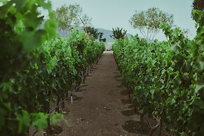 Ecléctico Guadalupe