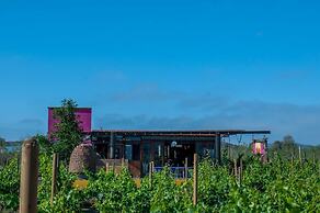 Ecléctico Guadalupe