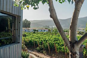 Ecléctico Guadalupe