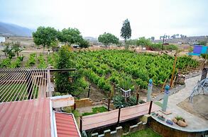 Ecléctico Guadalupe