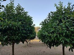 Antica Masseria Torre Mozza