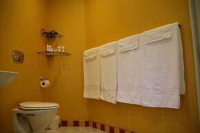 Silverstream Alpaca Farmstay and Tour