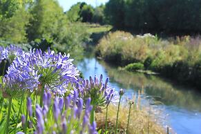 Silverstream Alpaca Farmstay and Tour