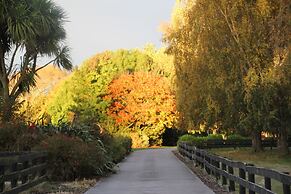 Silverstream Alpaca Farmstay and Tour