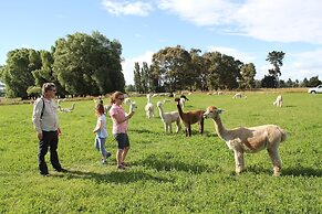 Silverstream Alpaca Farmstay and Tour
