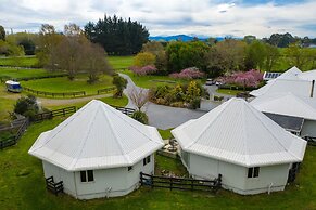 Silverstream Alpaca Farmstay and Tour