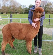 Silverstream Alpaca Farmstay and Tour