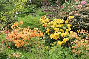 Silverstream Alpaca Farmstay and Tour