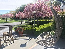 Silverstream Alpaca Farmstay and Tour