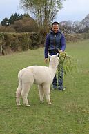 Silverstream Alpaca Farmstay and Tour