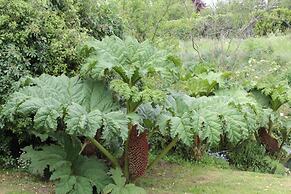 Silverstream Alpaca Farmstay and Tour