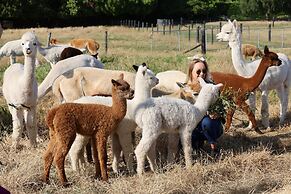 Silverstream Alpaca Farmstay and Tour