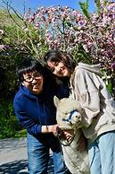 Silverstream Alpaca Farmstay and Tour