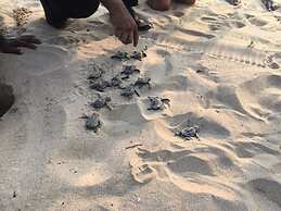 Twenty-Two Weligambay