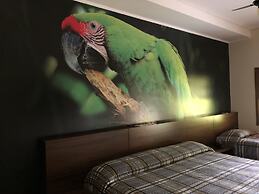 Resort Fazenda São João