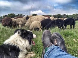 Agriturismo Pian dei Lupi