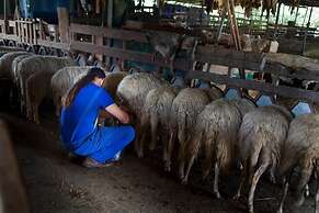 Agriturismo Pian dei Lupi