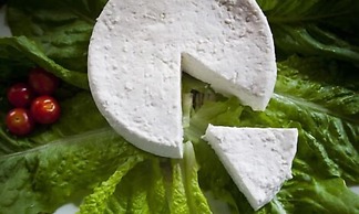 Agriturismo Pian dei Lupi