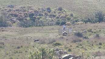 Agriturismo Pian dei Lupi