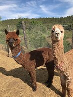 Taos Goji Farm & Eco-Lodge Retreat