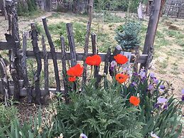 Taos Goji Farm & Eco-Lodge Retreat