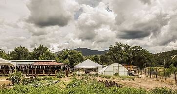 Taos Goji Farm & Eco-Lodge Retreat