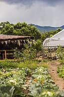 Taos Goji Farm & Eco-Lodge Retreat