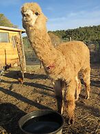 Taos Goji Farm & Eco-Lodge Retreat