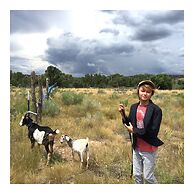 Taos Goji Farm & Eco-Lodge Retreat