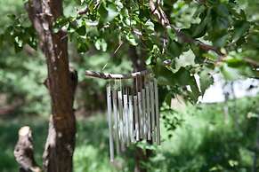 Taos Goji Farm & Eco-Lodge Retreat