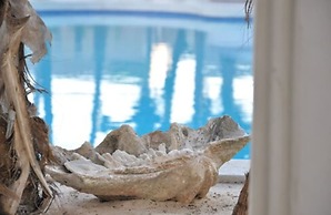 The Villa Luxury Suites Hotel