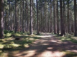 Schlosshotel Marienbad