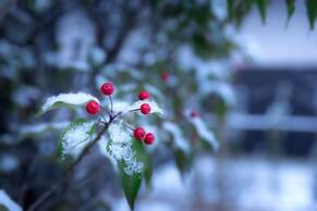 Hoshino Resorts KAI Alps