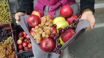 ELAIOLITHOS - Luxury Villa Suites - Adults Only