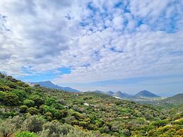 ELAIOLITHOS - Luxury Villa Suites - Adults Only