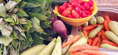 ELAIOLITHOS - Luxury Villa Suites - Adults Only