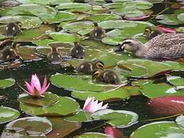 Ryokan Hanareya Ishidaya