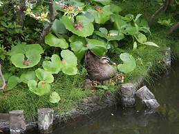 Ryokan Hanareya Ishidaya