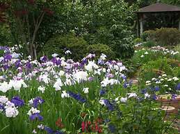 Ryokan Hanareya Ishidaya