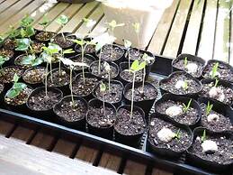 Ryokan Hanareya Ishidaya