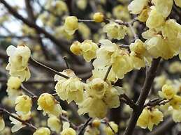 Ryokan Hanareya Ishidaya