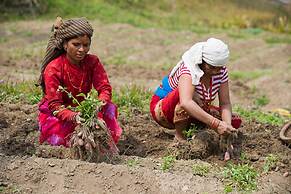 Hananoie-A Permaculture Resort