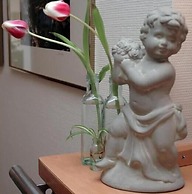 Hotel am Rokokogarten