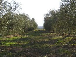 Agriturismo Benvenuti