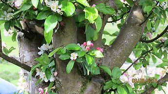 Eastview Bed and Breakfast