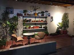 Hostel Quito Terrace