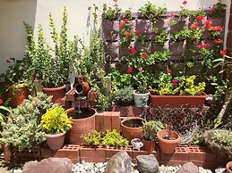 Hostel Quito Terrace