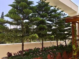 Hostel Quito Terrace