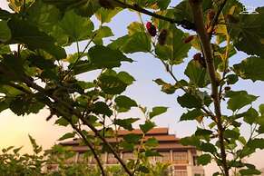 The Choice Hotel - Adults Only